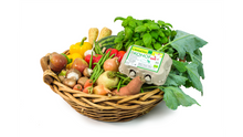 Laden Sie das Bild in den Galerie-Viewer, Gemüsekorb - Profit-Gutschein