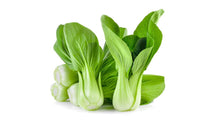 Laden Sie das Bild in den Galerie-Viewer, Pak Choi - Chinesischer Senfkohl (ca.350g/Stk.)