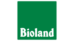 Buschbohnen