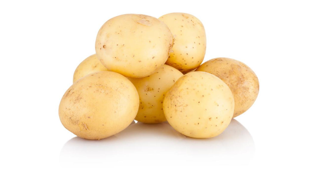 Frühkartoffeln: Sieglinde, festkochend