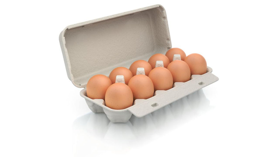 Eier - Größe XL