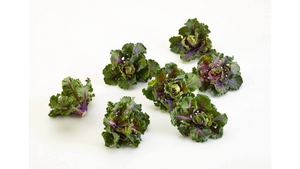 Flower Sprouts -  Kreuzung Rosenkohl - Grünkohl