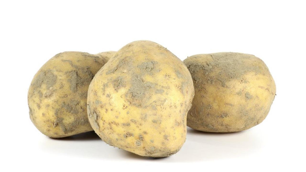 Kartoffeln: Gunda, mehlig kochend