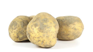 Kartoffeln: Leyla/ evtl. Sortenwechsel, festkochend
