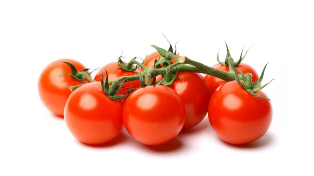 Strauchtomaten Kl. II