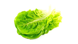 Zuckerhutsalat Kl. ll
