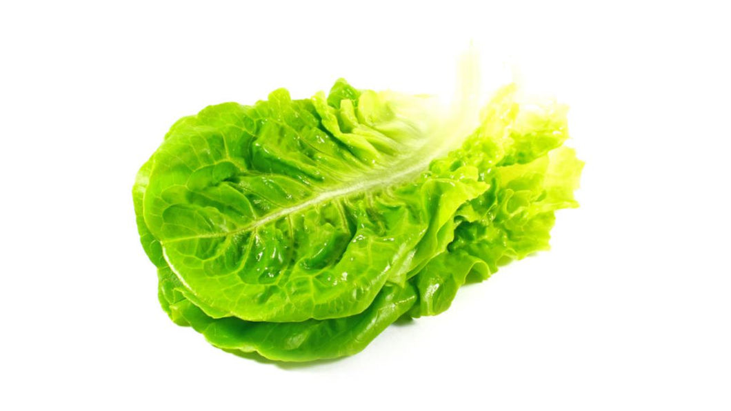 Zuckerhutsalat Kl. ll